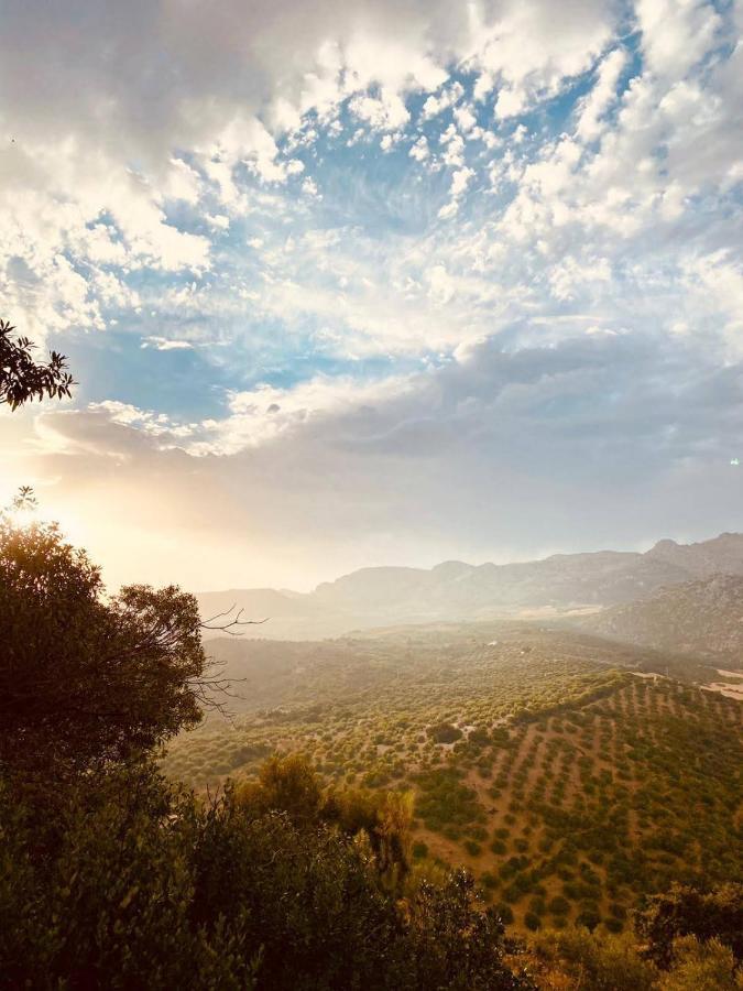 Bed and Breakfast Cortijo Sylvestre Риогордо Экстерьер фото